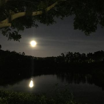 bb老猫于2019-06-18 21:24发布的图片