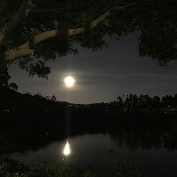 bb老猫于2019-06-18 21:24发布的图片