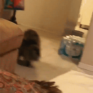 程序员趣事于2019-06-19 09:28发布的图片