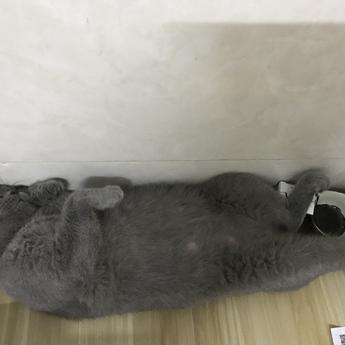 faymi于2019-06-19 13:12发布的图片