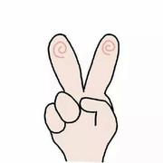 会飞面包的个人资料头像