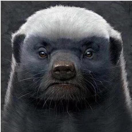 Hausen于2019-06-02 00:09发布的图片