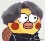 哈哈爱学习18256的个人资料头像