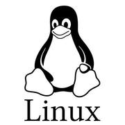 linux服务器开发架构师的个人资料头像
