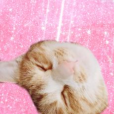 KeepOptimistic于2019-06-20 01:11发布的图片