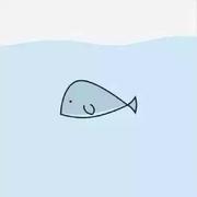 Initially的个人资料头像