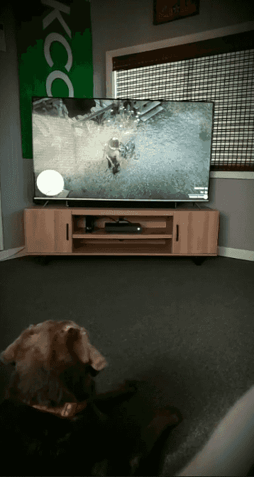 Roy_于2019-06-20 17:06发布的图片