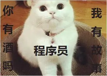 我有故事 你有酒吗？除了敲代码，程序员（媛）还能有什么副业？