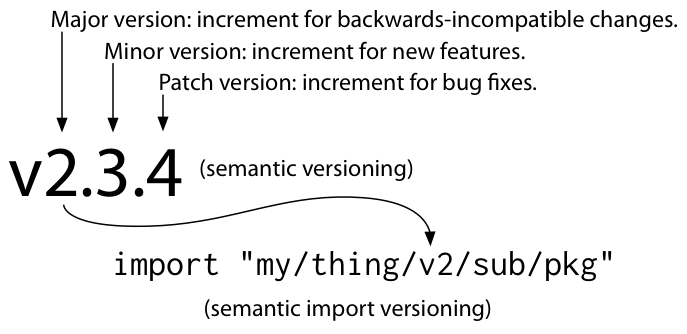 语义化导入版本