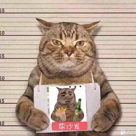 Herry豿子于2019-06-21 10:23发布的图片