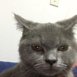 Herry豿子于2019-06-21 10:23发布的图片