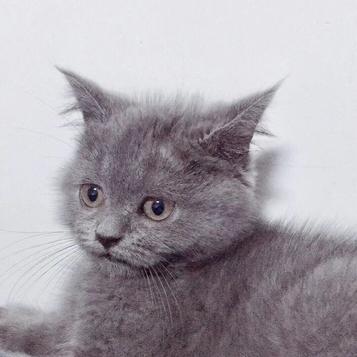 Herry豿子于2019-06-21 10:23发布的图片