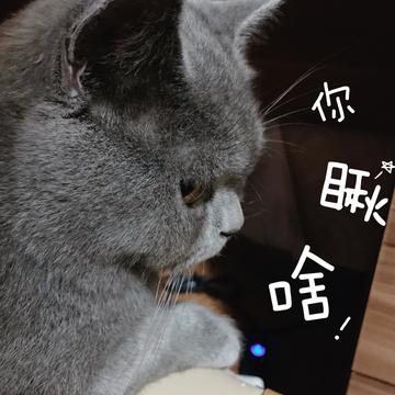 Herry豿子于2019-06-21 10:23发布的图片