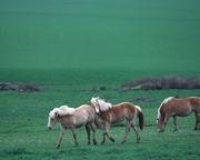 zczczc的个人资料头像