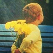 Sorvey的个人资料头像