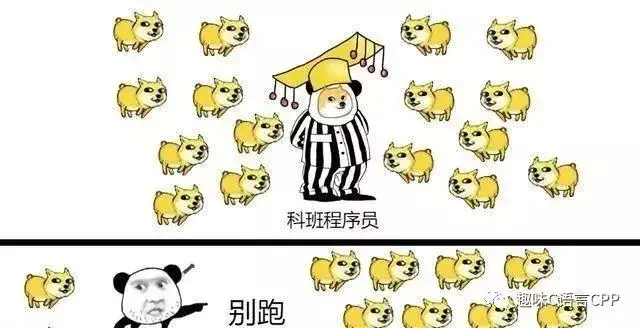 一张图告诉你，自学编程和科班程序员的差别在哪！网友：很真实