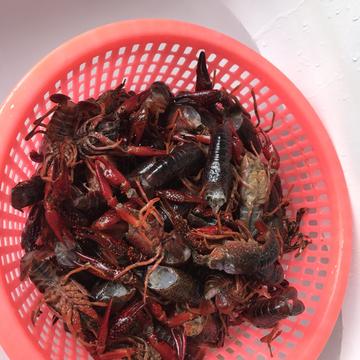 路过的一只Q于2019-06-23 14:16发布的图片