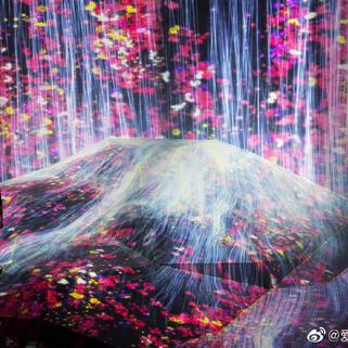 爱可可爱生活于2019-06-23 18:47发布的图片