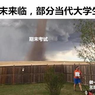 圆号本昊于2019-06-24 10:34发布的图片