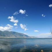 cedric1860的个人资料头像