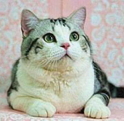 bowe75131的个人资料头像