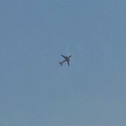 sniose的个人资料头像