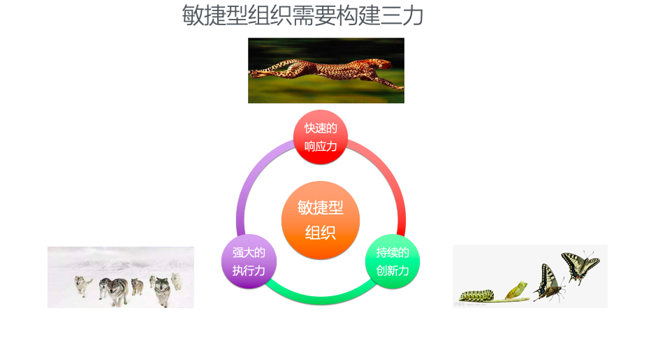 屏幕快照 2019-06-25 上午10.46.59.png