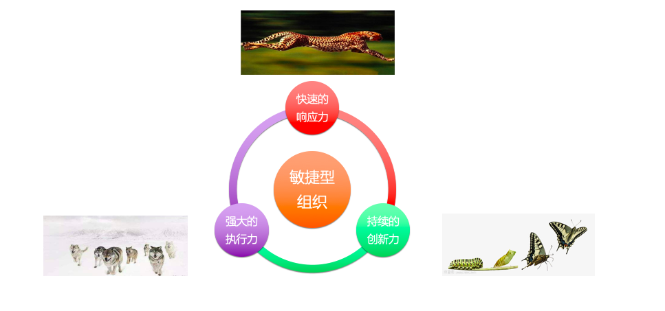 屏幕快照 2019-06-25 下午1.54.05.png