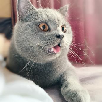 Herry豿子于2019-06-28 09:05发布的图片