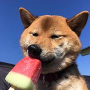 田渣渣的个人资料头像