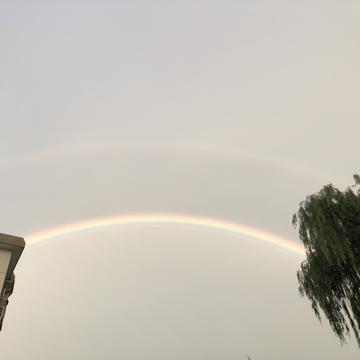 风中的殇于2019-06-28 19:37发布的图片