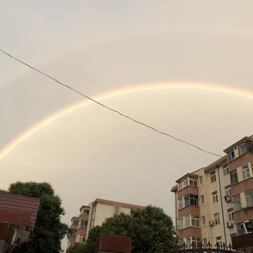 风中的殇于2019-06-28 19:37发布的图片