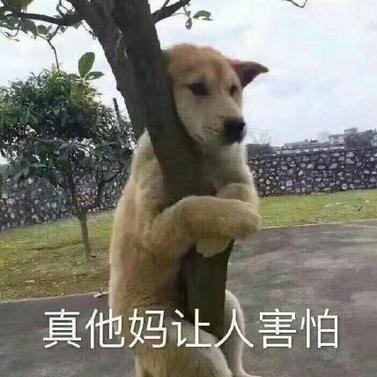 DarkSherlock于2019-06-29 10:59发布的图片