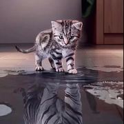 橘右京的个人资料头像