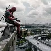 一枝短腿花的个人资料头像