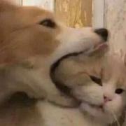 欲言又止最是撩人的个人资料头像