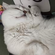 说多无益的个人资料头像