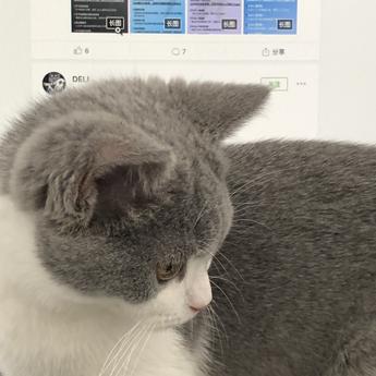 阴明于2019-06-03 22:41发布的图片