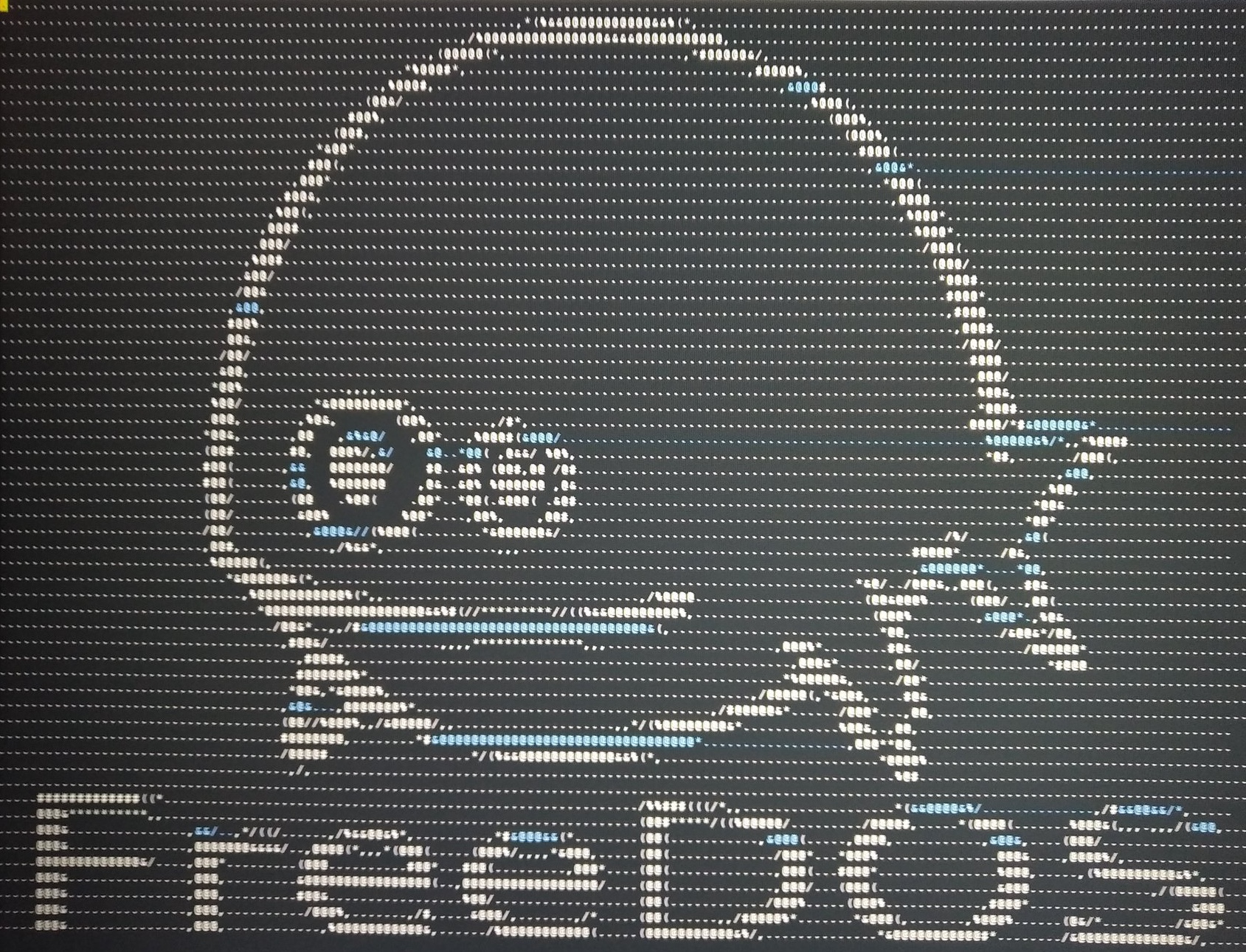 FreeDOS fish logo and command prompt on computer