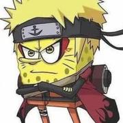 15992209423的个人资料头像