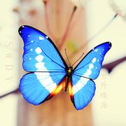 shiwaidieyuan的个人资料头像