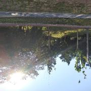 wji29787的个人资料头像