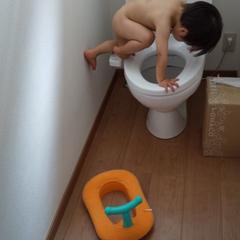 爱可可爱生活于2019-06-05 07:54发布的图片