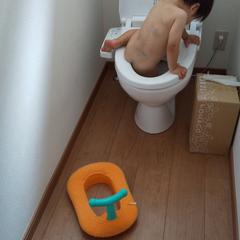 爱可可爱生活于2019-06-05 07:54发布的图片