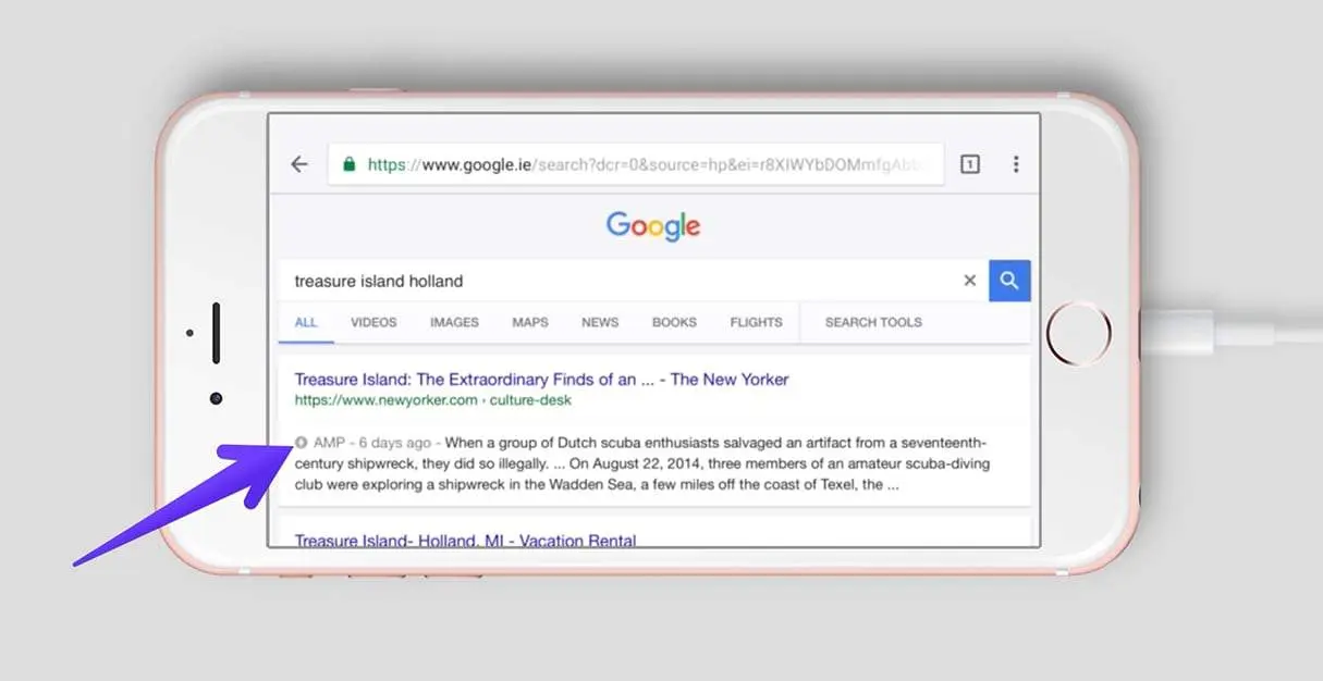 Google搜索界面的 AMP 页面