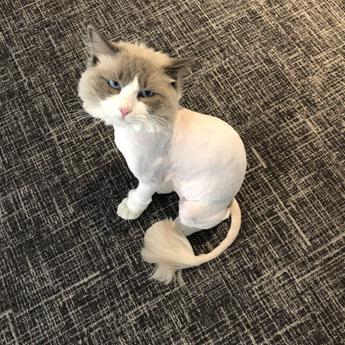 AELF于2019-06-05 15:15发布的图片