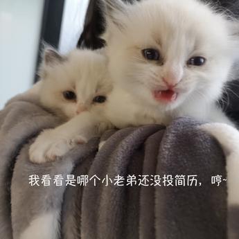 AELF于2019-06-05 16:21发布的图片