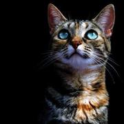 southday的个人资料头像