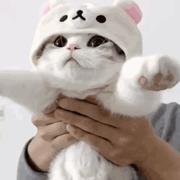 刘可爱的个人资料头像