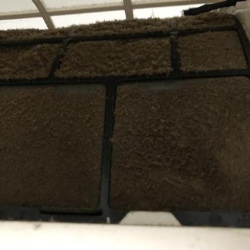 彭于晏成都分晏于2019-06-06 17:10发布的图片